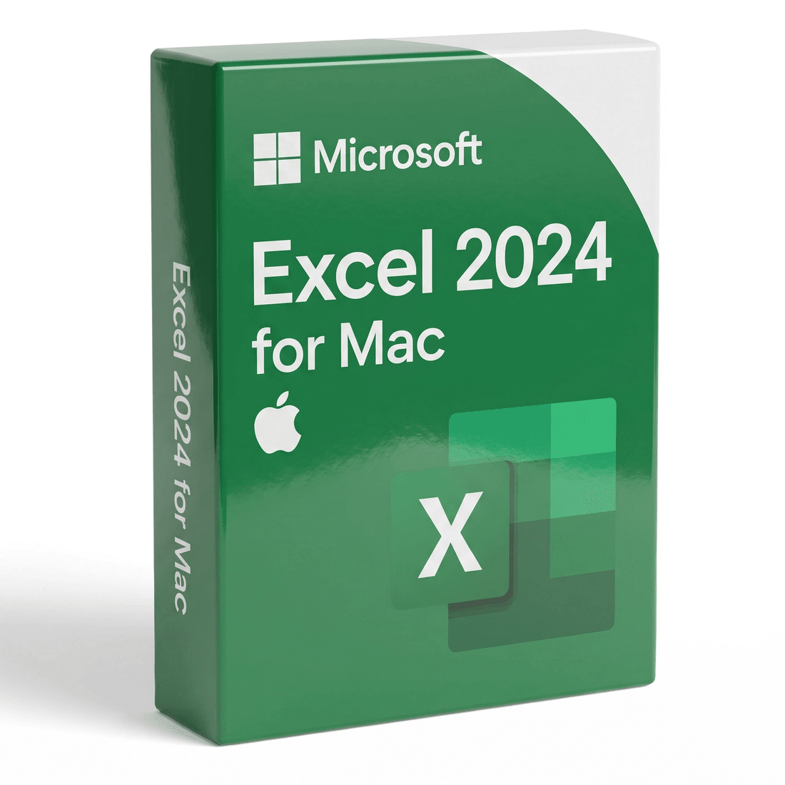 Microsoft Excel 2024 — Lifetime License